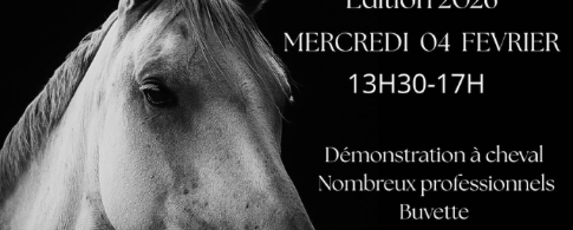 Salon des Métiers du Cheval le 04 février 2026 au Lycée agricole de Mirande